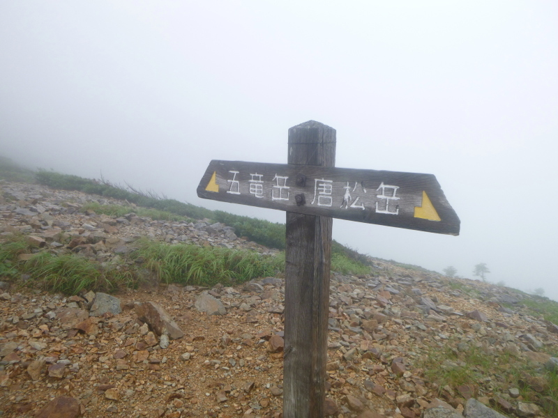 d0170615_17555541.jpg