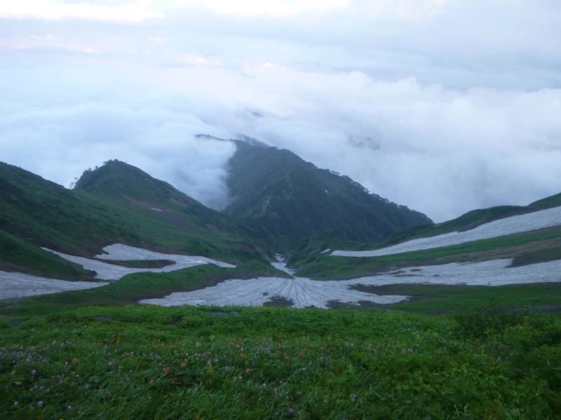 d0170615_17562363.jpg