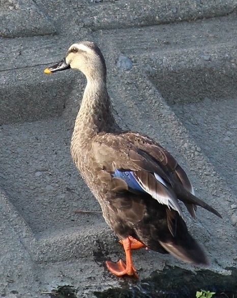 c0280322_13443115.jpg