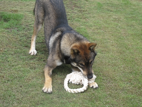 f0143123_08443125.jpg