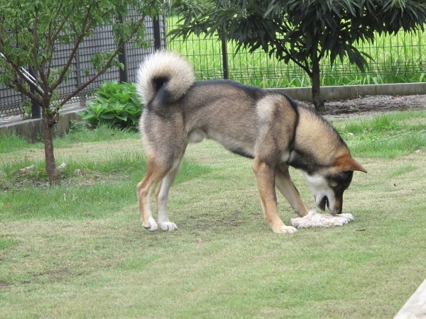 f0143123_08444867.jpg