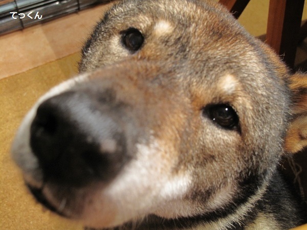f0143123_09380033.jpg