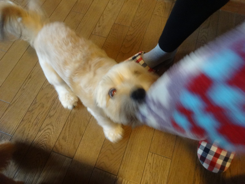 c0157824_004270.jpg