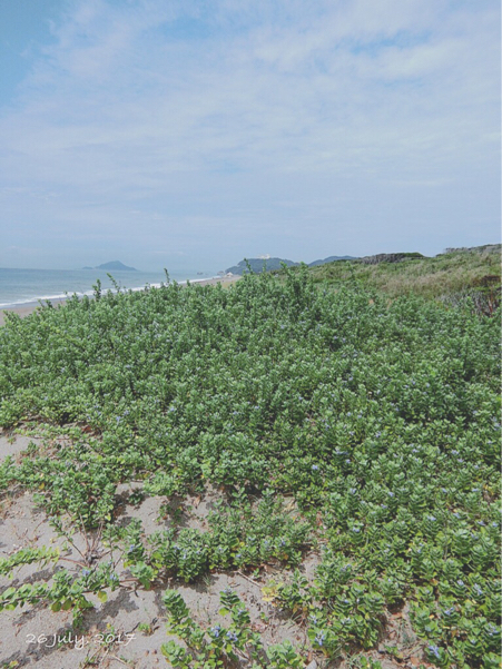 d0372825_16343673.jpg
