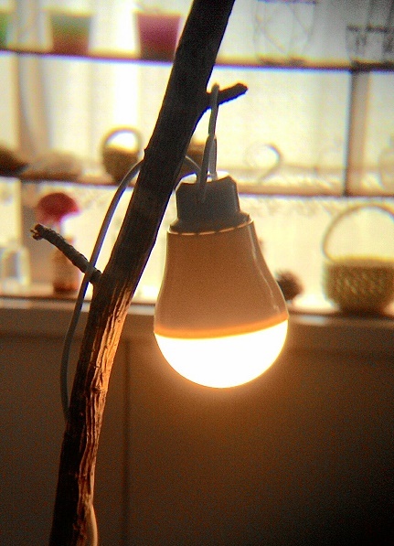 c0188229_1573164.jpg