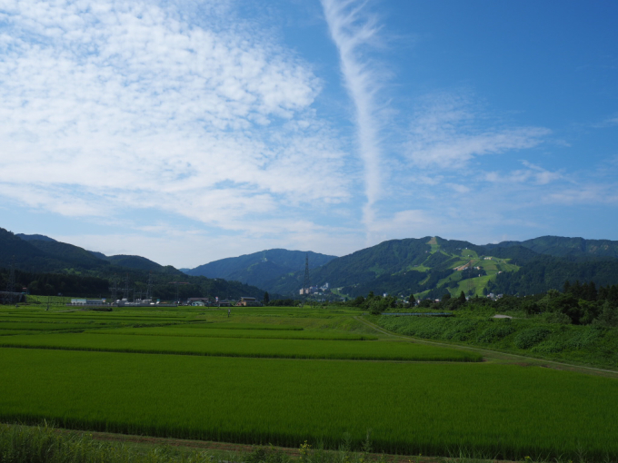 c0282432_12425742.jpg