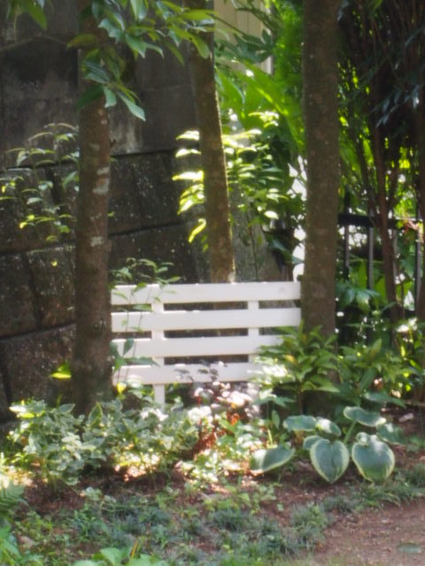 f0332133_14352366.jpg