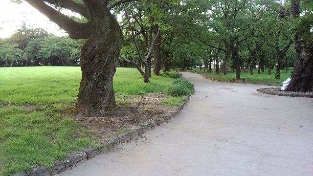 c0348636_20173637.jpg