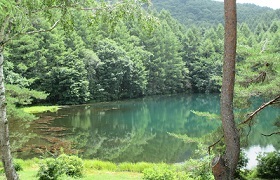 c0225143_13552917.jpg
