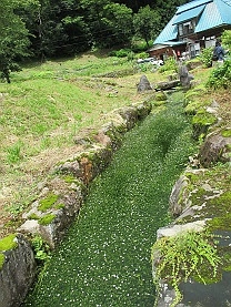 c0225143_18173151.jpg