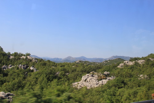 c0011649_23181213.jpg