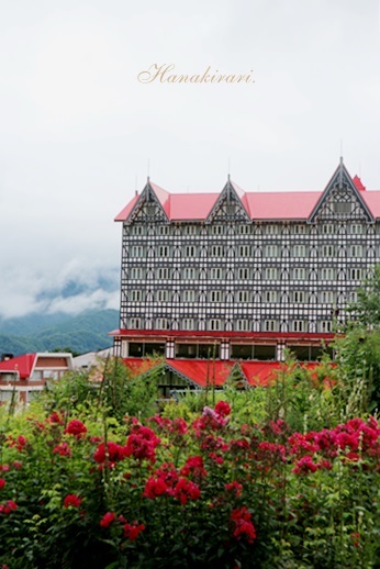 c0178453_10554300.jpg