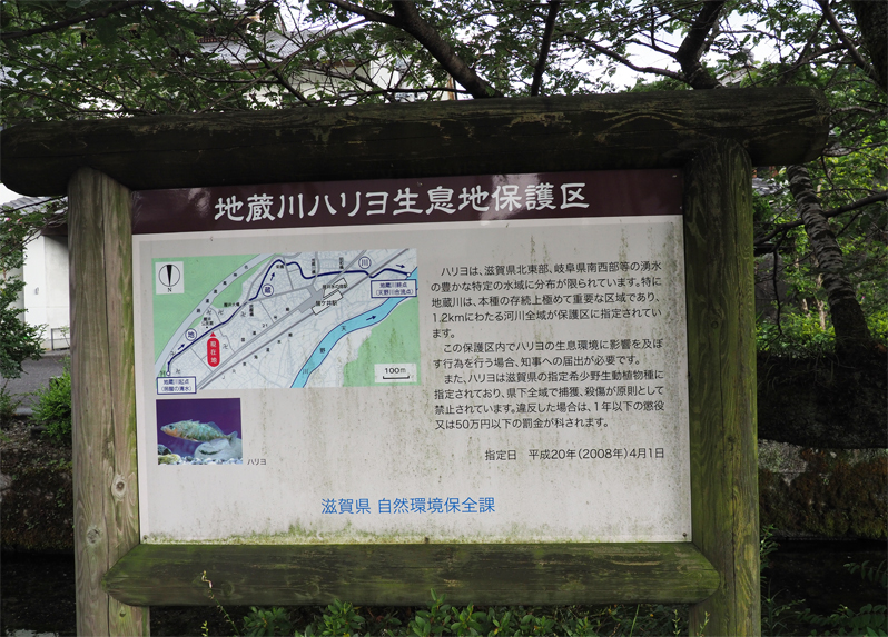 f0140054_08492874.jpg