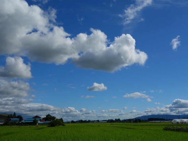 f0291154_04028.jpg