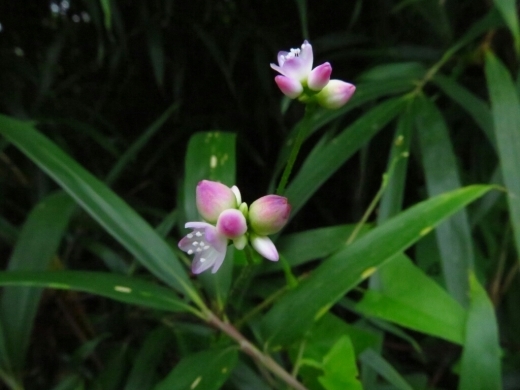 a0018655_13582231.jpg
