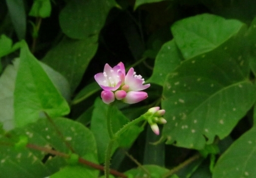 a0018655_13582691.jpg