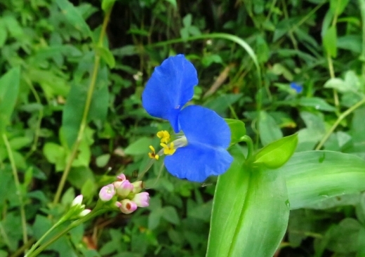 a0018655_13583805.jpg