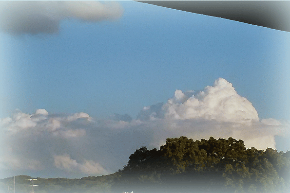 a0103464_19375484.gif