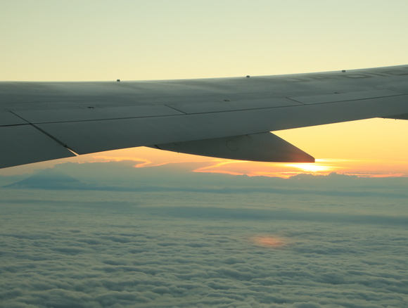 d0202264_21105280.jpg