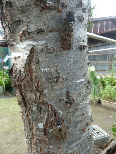 e0278968_21384128.jpg