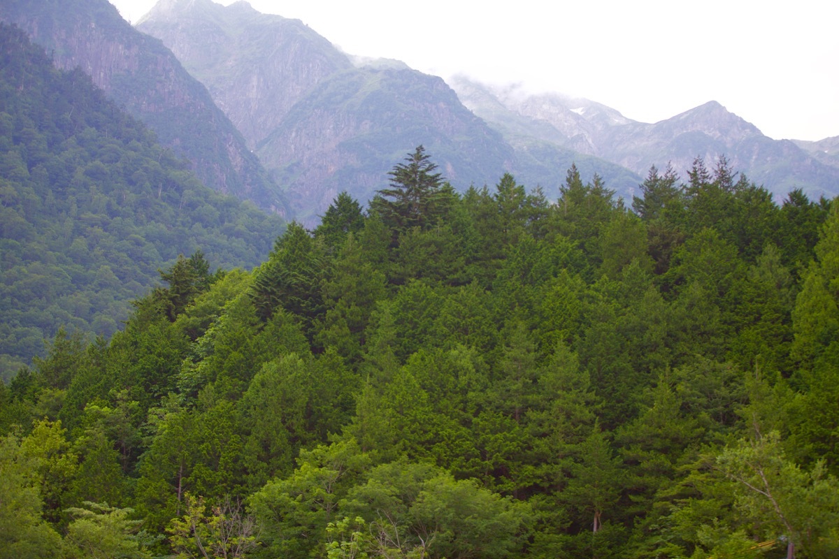 c0163369_12321359.jpg