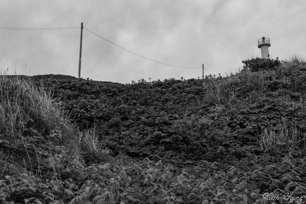 e0338273_20144305.jpg