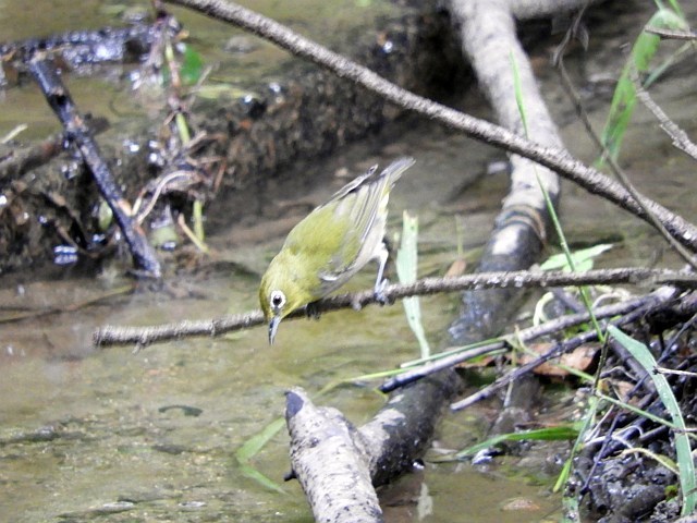 f0378979_17012504.jpg