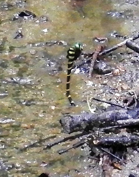 f0378979_17103661.jpg