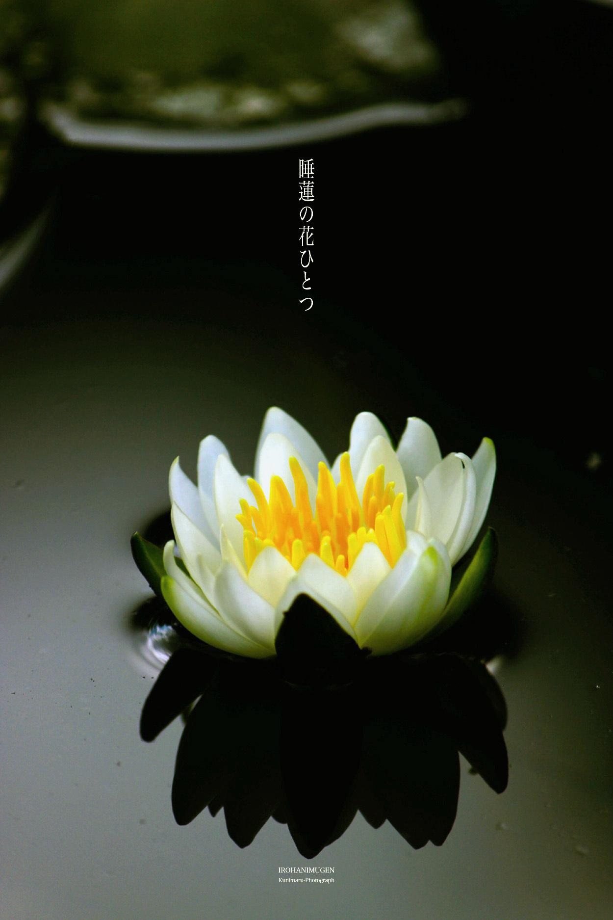 f0221382_23114159.jpg