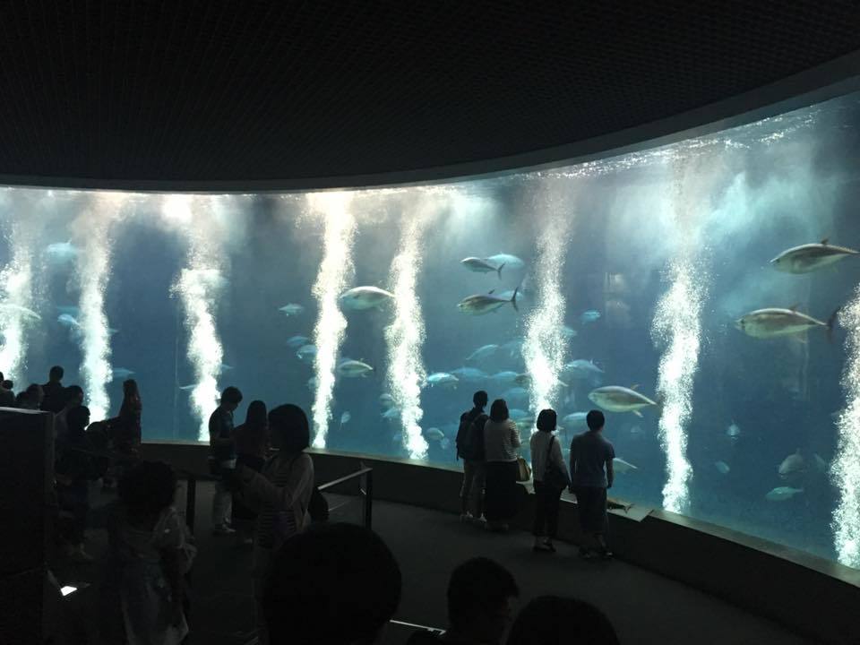 b0195783_08222525.jpg
