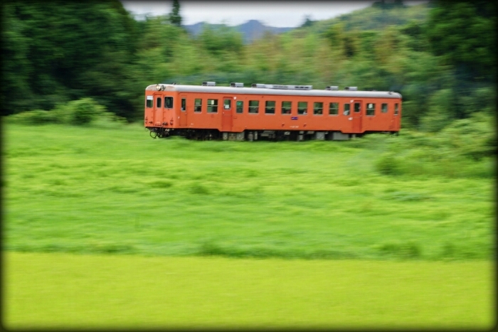 d0341483_11244219.jpg