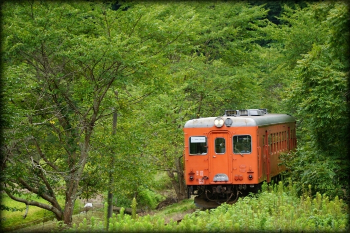 d0341483_11244474.jpg