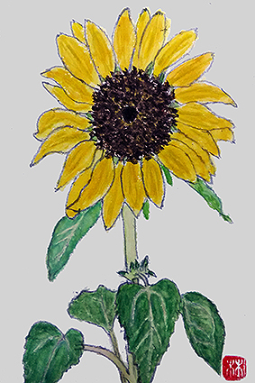 f0008597_19204580.jpg