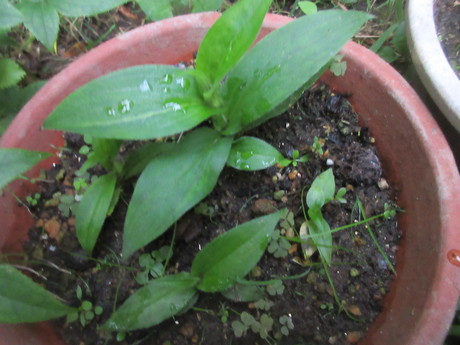 a0203003_22371046.jpg