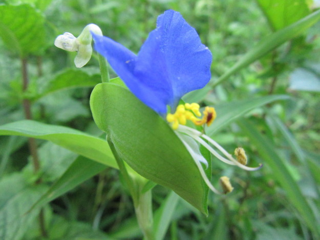 f0231709_07284601.jpg
