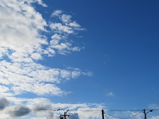 f0325309_17420456.jpg