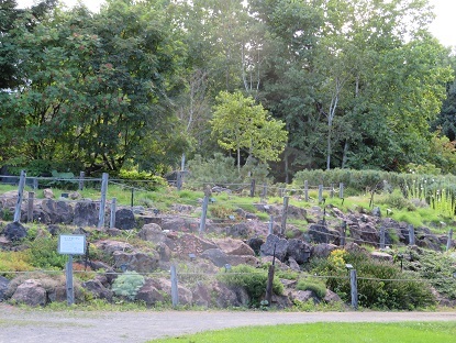 f0325309_17451396.jpg