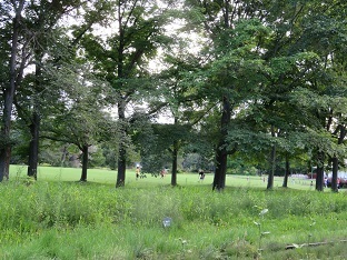 f0325309_17465693.jpg