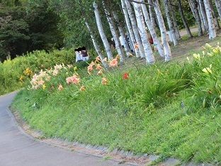 f0325309_17553890.jpg