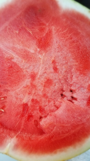 a0194911_20471965.jpg