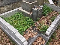e0363711_09061033.jpg