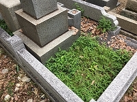 e0363711_09061064.jpg