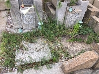 e0363711_09120977.jpg