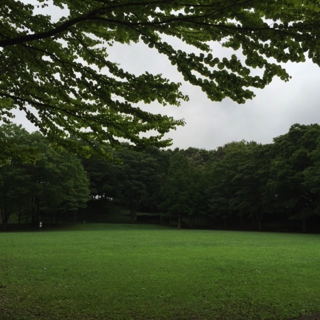 e0122013_13534576.jpg