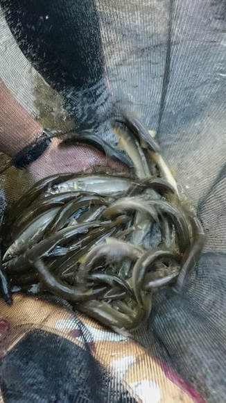 c0221718_16512650.jpg