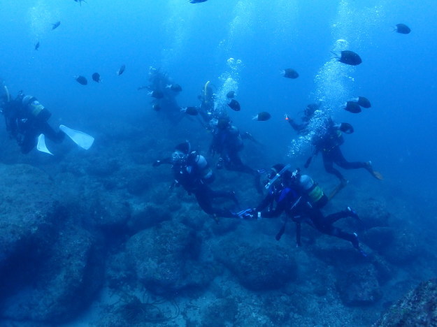 c0115421_20272071.jpg