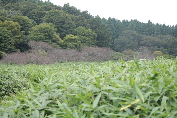 d0162724_23200479.jpg