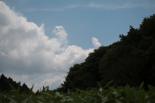 d0162724_23203176.jpg
