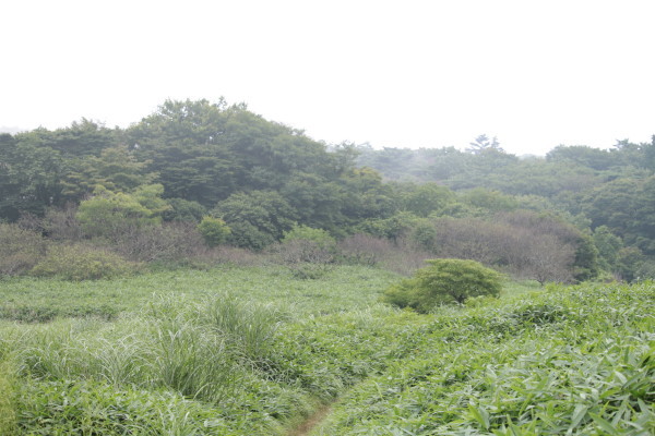 d0162724_23223580.jpg
