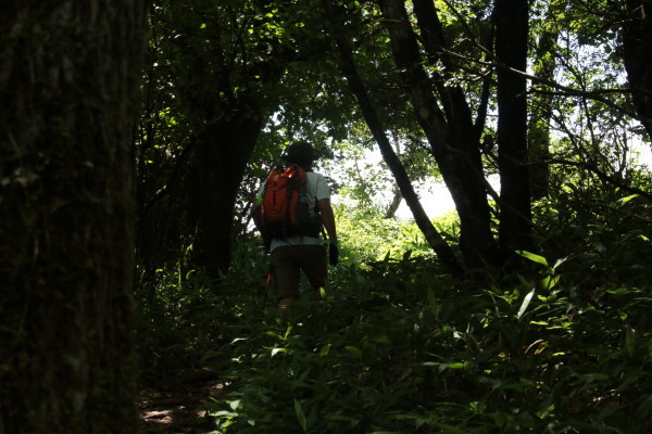 d0162724_23244873.jpg